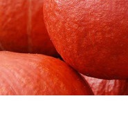 25145 Гарбуз Утікі Курі Хаббард 