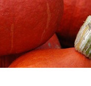 25145 Гарбуз Утікі Курі Хаббард 