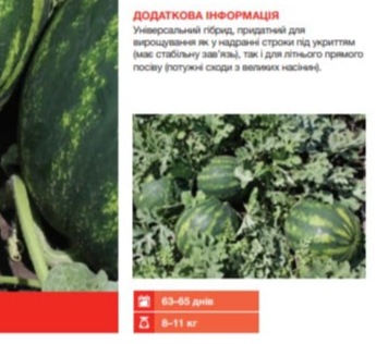 25098 Кавун Бархан F1 