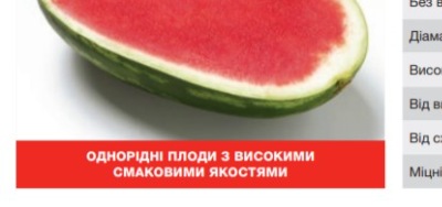 25099 Кавун Фарао F1 