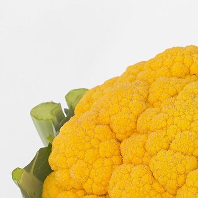 8013 Капуста Цвітна помаранчева Флейм стар F1