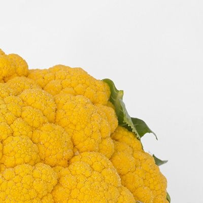 8013 Капуста Цвітна помаранчева Флейм стар F1