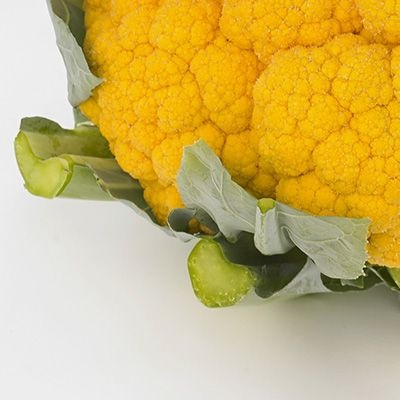 8013 Капуста Цвітна помаранчева Флейм стар F1