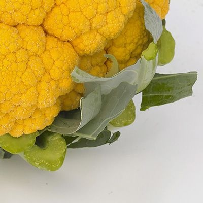 8013 Капуста Цвітна помаранчева Флейм стар F1