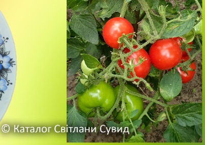 1301 Щедрість