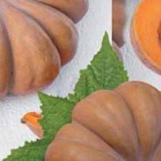 25209 Гарбуз Мускат де Прованс