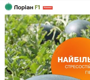 25279 Кавун Лоріан F1