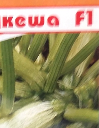 3042 Кабачок Цукеша F1