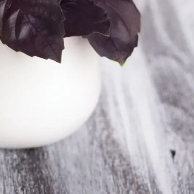 25739 Базилік кімнатний Гранат