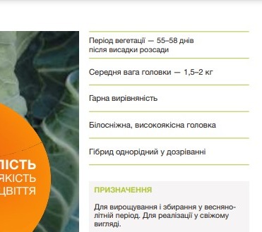 25288 Капуста цвітна біла Солістар F1