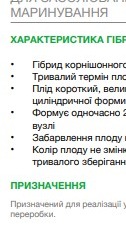 25285 Огірок Октопус F1