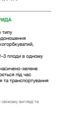 25285 Огірок Октопус F1