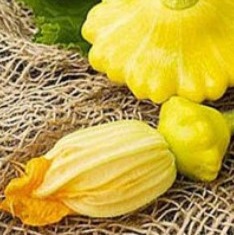 25281 Патисон Сані Делайт F1