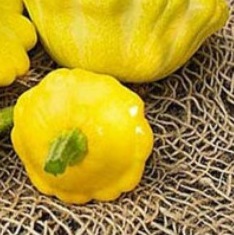 25281 Патисон Сані Делайт F1