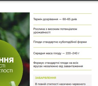 25284 Перець Ангус F1
