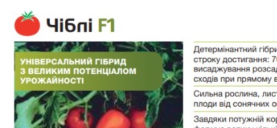 25286 Помідор Чіблі F1