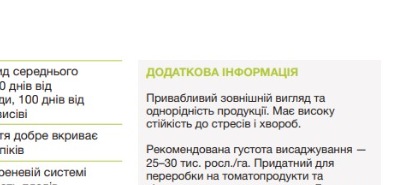 25286 Помідор Чіблі F1