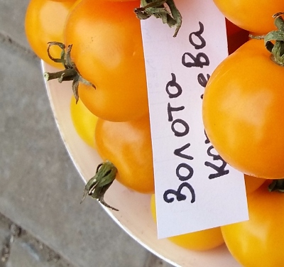 1015 Золота королева