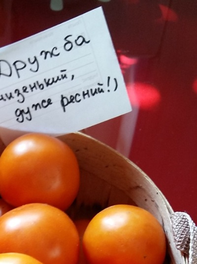1046 Дружба