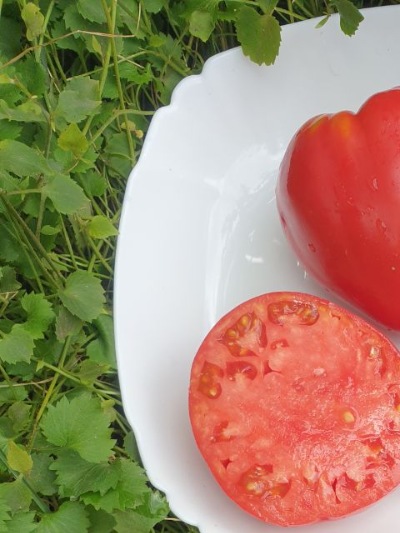 25323 Bobbie (Боббі) 