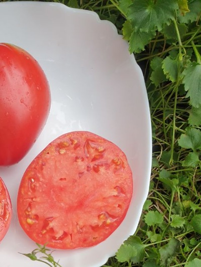 25323 Bobbie (Боббі) 