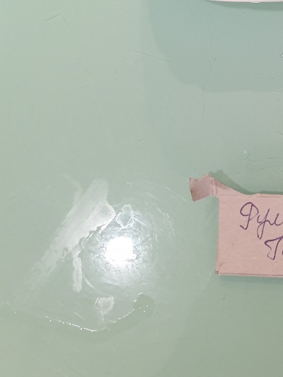 25495 Рум’яний Гоша 