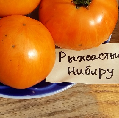 1165 Рудастик Нібіру (Рыжастик Нибиру)