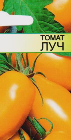 1025 Луч 