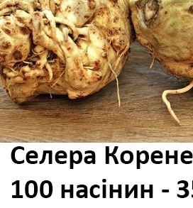 25137 Селера коренева Діамант 