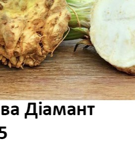 25137 Селера коренева Діамант 