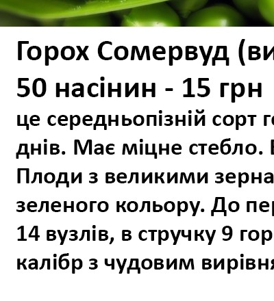 25134 Горох  Сомервуд F1 