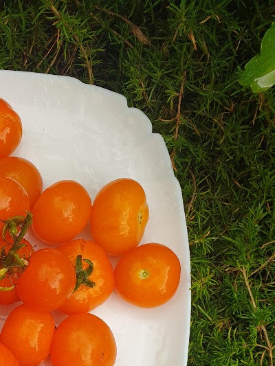 1194 Золотоволоска (Златовласка)