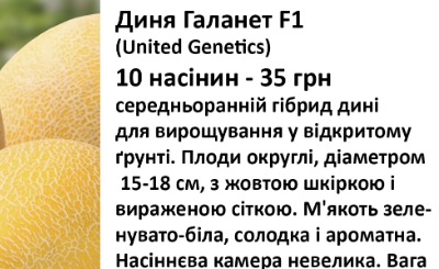 25095 Диня Галанет F1