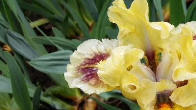 329 Світанок у темряві