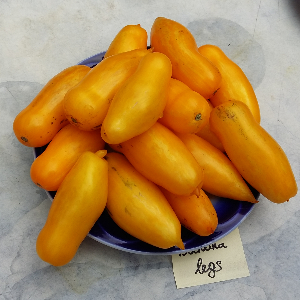 Насіння помідору Banana legs (Бананові ноги)