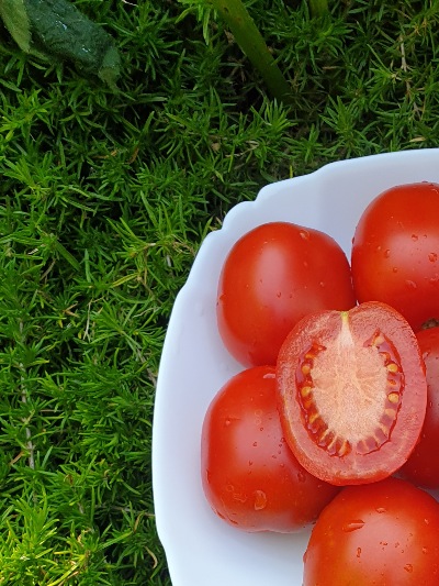 1005 Де барао червоний