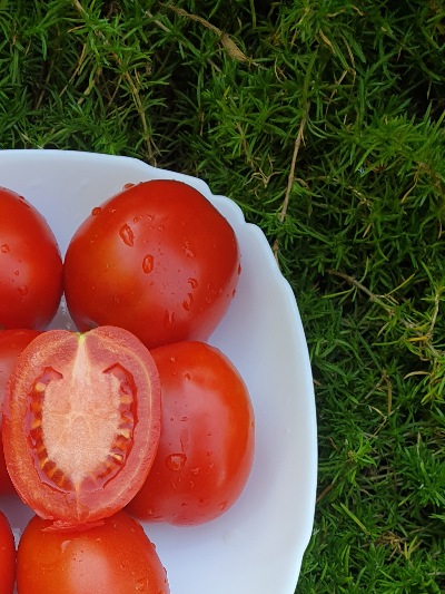 1005 Де барао червоний