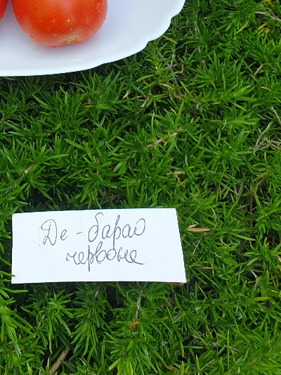 1005 Де барао червоний