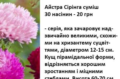 25034 Айстра Сірінга суміш 