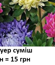 25028 Айстра Тауер суміш 