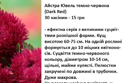 25112 Айстра Ювель темно-червона 