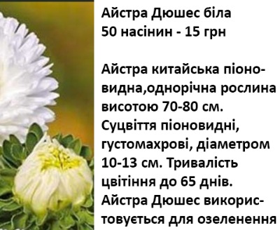 25030 Айстра Дюшес біла 