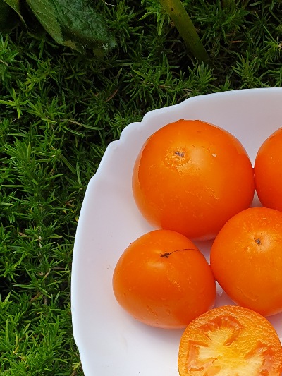 1382 Золото Маккени