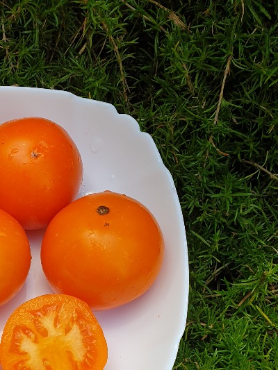 1382 Золото Маккени