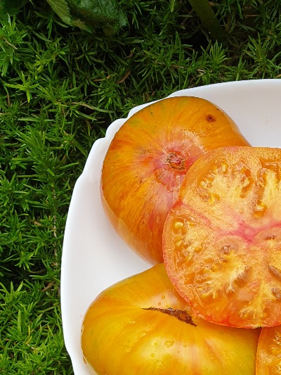 1069 Beauty Queen (Королева краси)