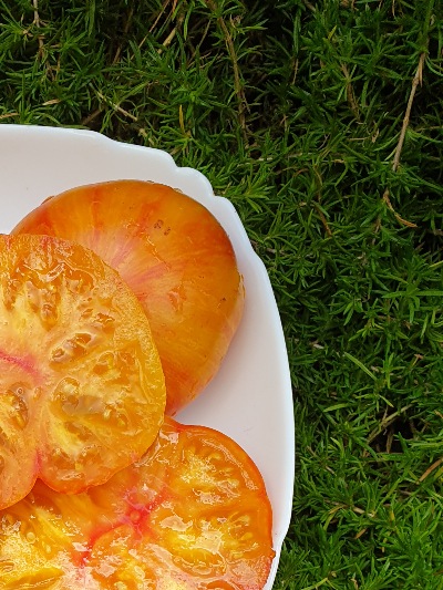 1069 Beauty Queen (Королева краси)