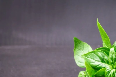 25746 Базилік Лимонний Лімонетте