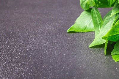 25746 Базилік Лимонний Лімонетте