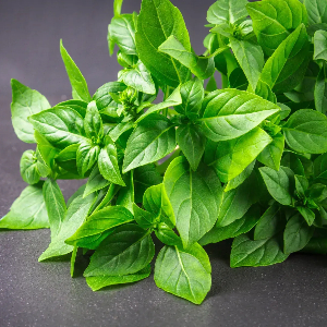  Базилік Лимонний Лімонетте