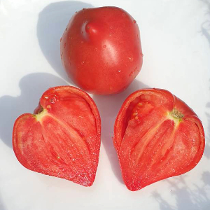 Насіння помідору Black Mamba (Блек Мамба, Чорна Мамба)